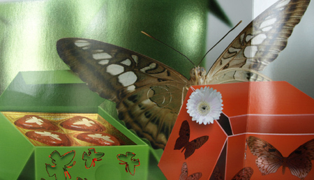 Kaltfolien-Seite der Broschuere mit farbig überdruckter Kaltfolie