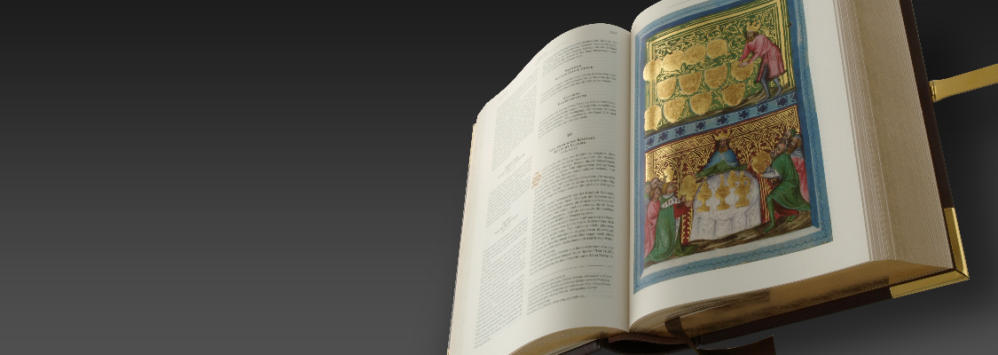 Diaschau Bild 2 Cast&cure-Beispielpackung Holo-Schmetterlingsflüge